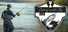 Fishing on the Fly