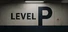 Level P