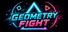 Geometry Fight