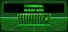 Terminal Warfare