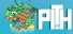 PITH