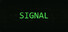 Signal