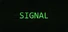 Signal