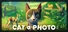 Cat a Photo