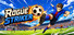 Rogue Striker