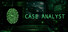 Case Analyst