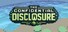 The Confidential Disclosure