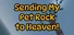 Sending my Pet Rock to Heaven