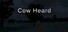 Cow Heard