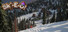 Ski-E-O! Ski Resort Tycoon