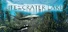 Life in the Crater Lake