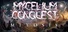 Mycelium Conquest: Mitosis