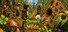 Shrunk Wilds