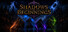 Shadows of Beginnings