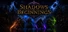Shadows of Beginnings