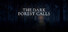 The Dark Forest Calls