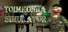 Toimkonna simulator