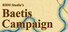 RBM Studio's Baetis Campaign