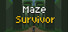 Maze Survivor