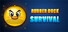 Rubber Duck Survival