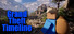 Grand Theft Timeline
