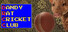 Dandy Rat Cricket Club