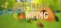 Still Trails: Camping