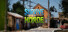 Survive the Horde