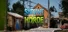 Survive the Horde