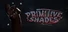 Primitive Shades
