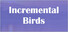 Incremental Birds