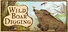 Wild Boar Digging