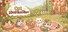 Cats MiaoMiaoMiao~