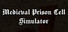 Medieval Prison Cell Simulator