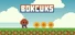 Bokcuks