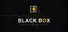 Accident Investigator Simulator: Black Box