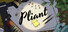 Pliant