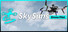 SkySims: Drone Pilot
