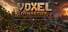 Voxel Dynasties