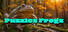 Puzzles Frogs