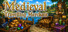 Medieval Travelling Merchant