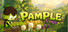 Pample