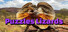 Puzzles Lizards