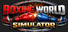 Boxing World Simulator