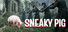Sneaky Pig: Druid Hide & Seek