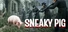 Sneaky Pig: Druid Hide & Seek