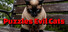 Puzzles Evil Cats