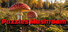 Puzzles Mushroom