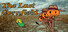 The Last Cornfield
