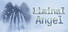 Liminal Angel